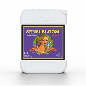 Sensi Bloom B