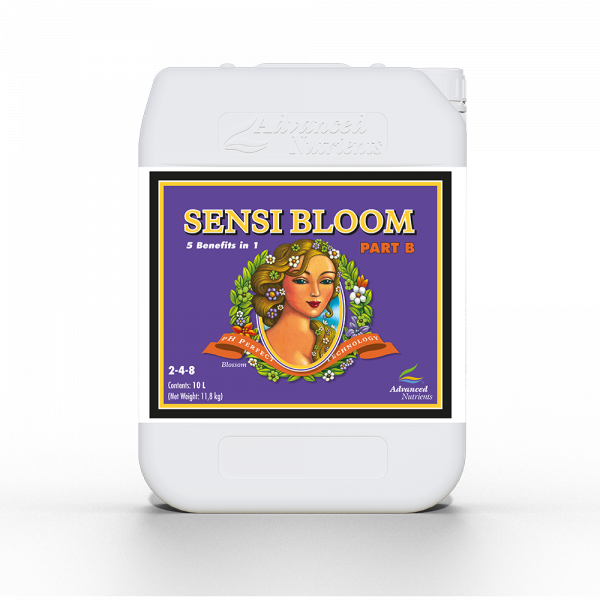 Sensi Bloom B