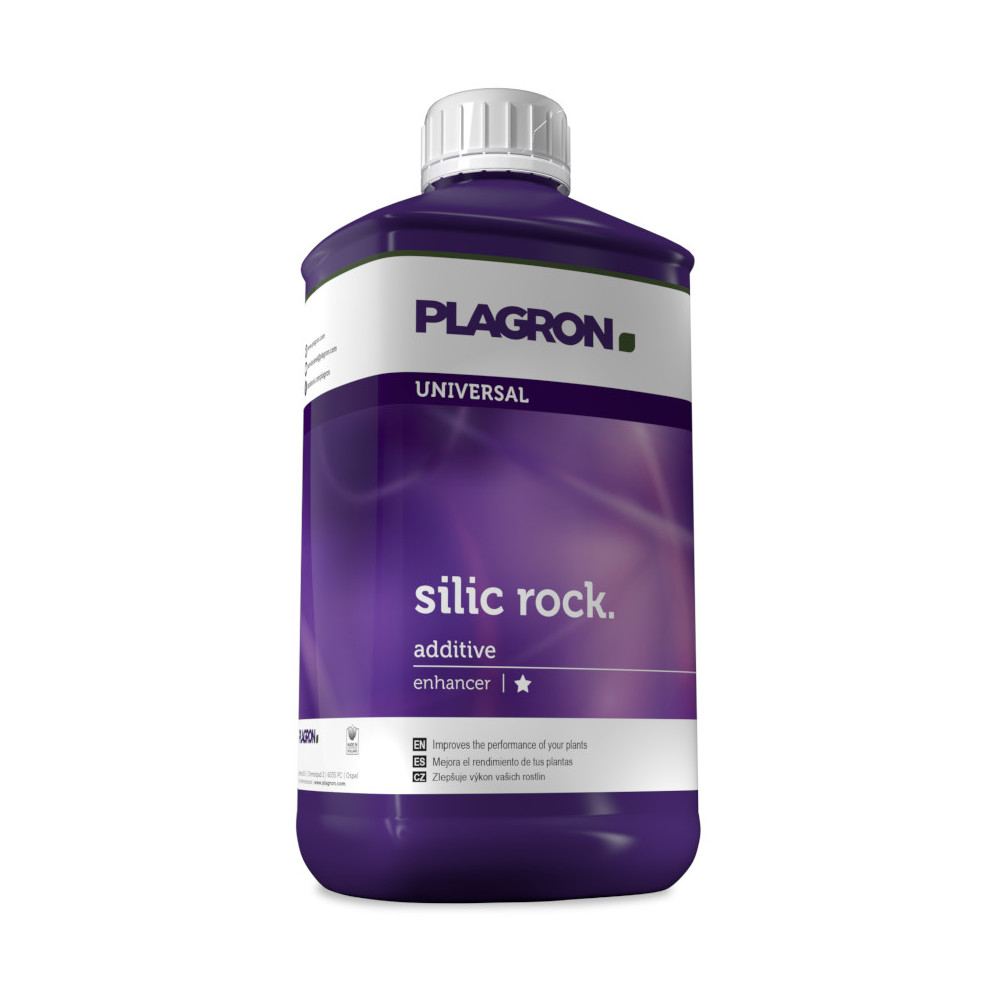 Silic Rock