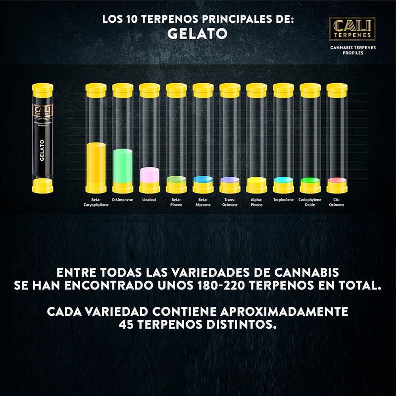 Spray Terpenos Gelato 5ml - Imagen 3