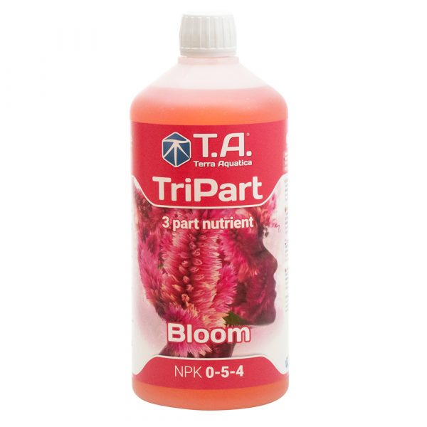 Tripart Bloom