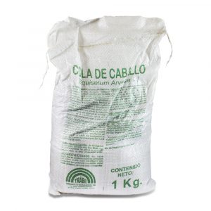 Cola de caballo
