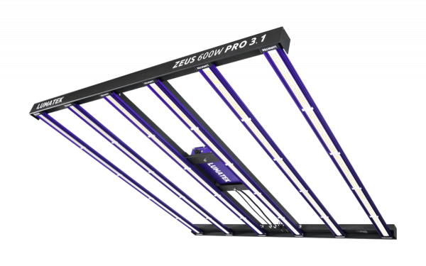 Sistema led zeus 600 w pro 3.1