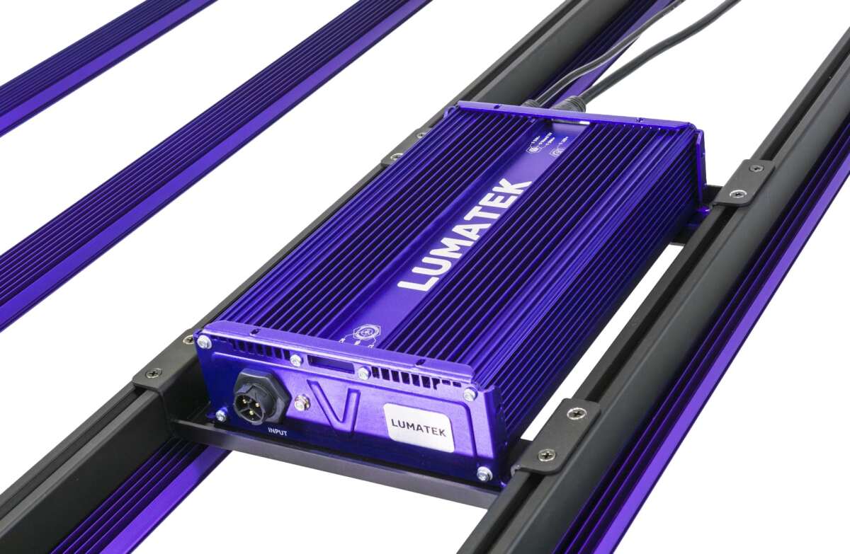 Sistema led zeus 600 w pro 3.1 - Imagen 3