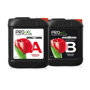 Bloom a+b 5 l