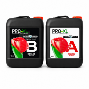 Bloom a+b 10 l