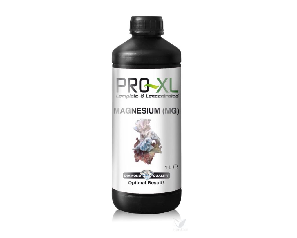 Magnesio 1 l