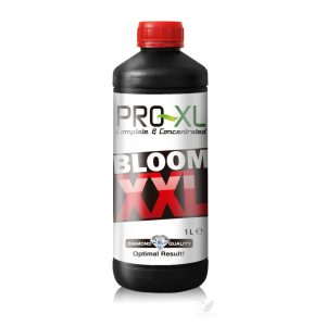 Bloom xxl