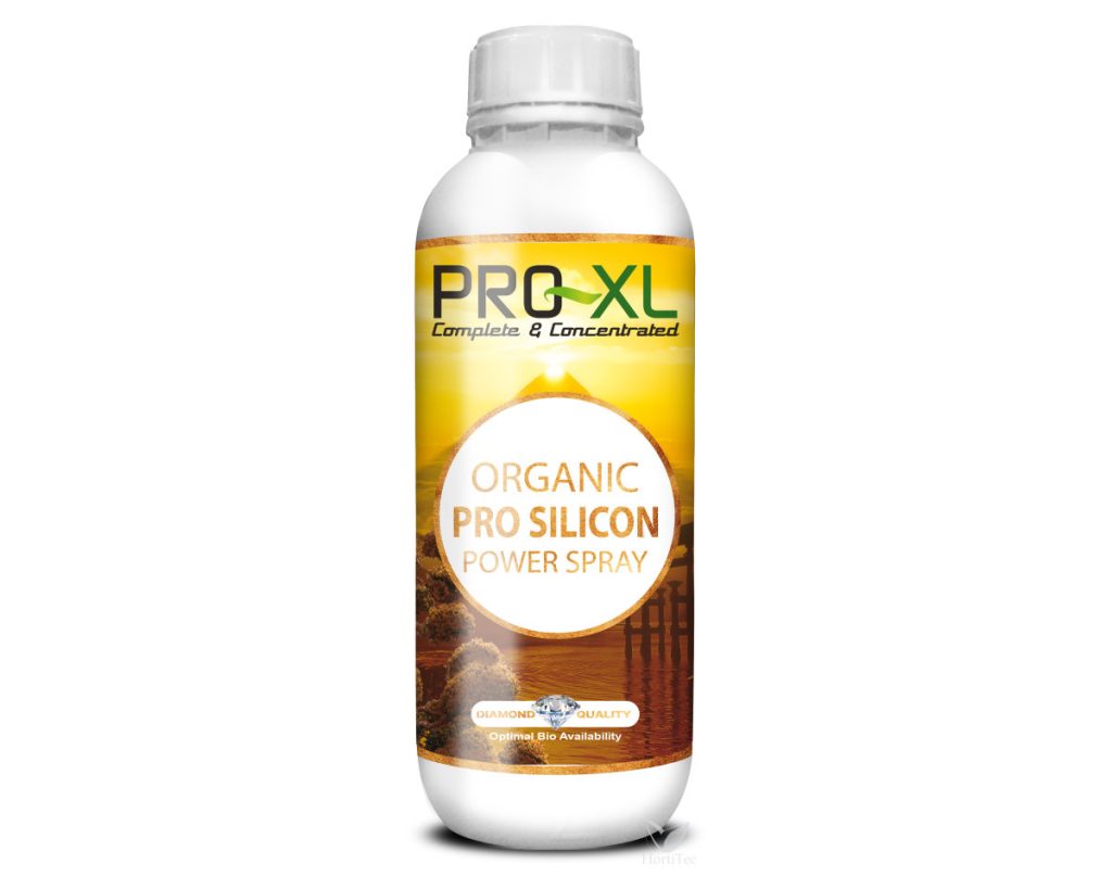 Organic pro silicon power 1 l