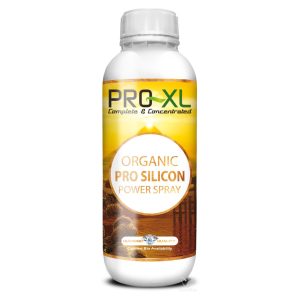 Organic pro silicon power 1 l