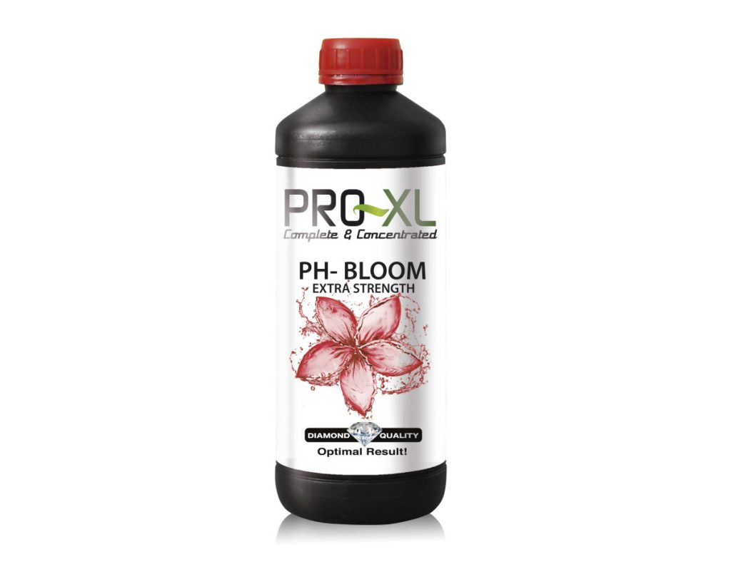 Ph - bloom