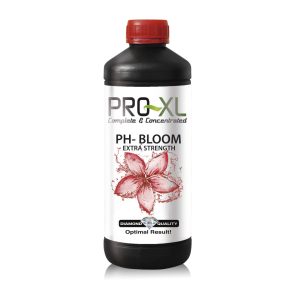 Ph - bloom