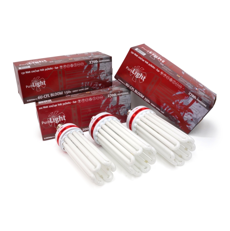 Bombilla Pure Light CFL Bloom 2700K