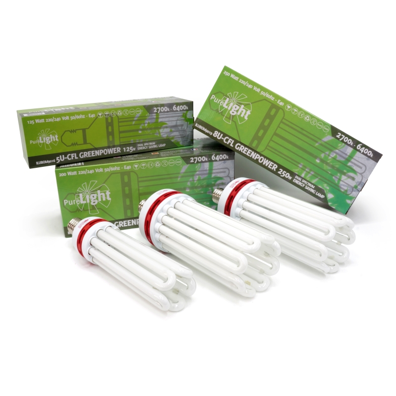 Bombilla Pure Light CFL Greenpower