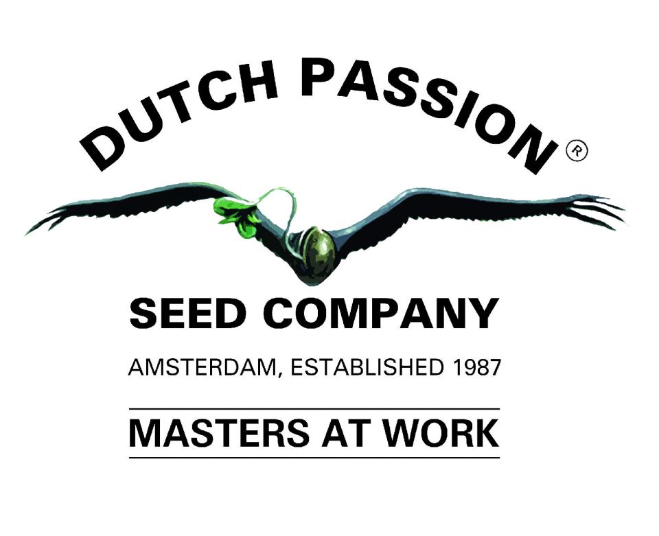 AMSTERDAM AMNESIA ®