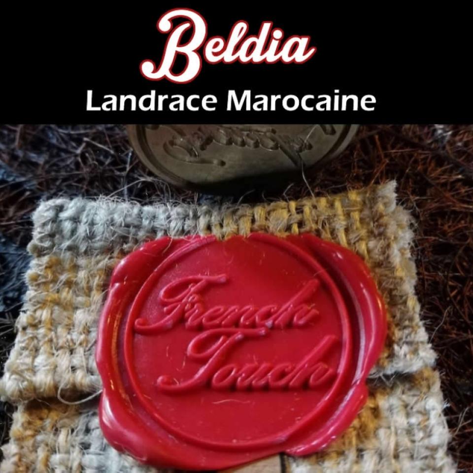 BELDIA