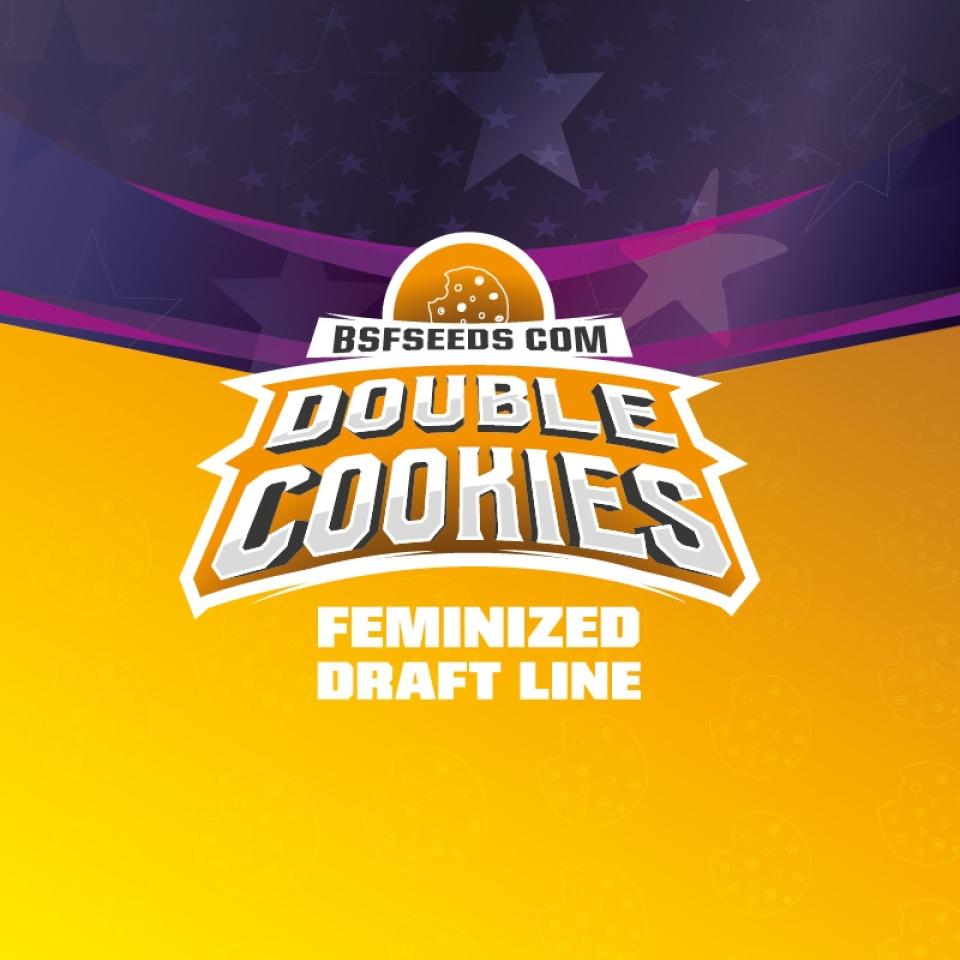 DOUBLE COOKIES