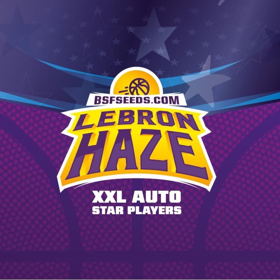 LEBRON HAZE XXL AUTO
