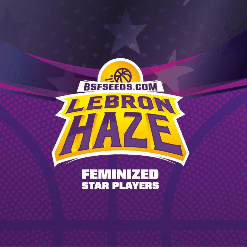 LEBRON HAZE