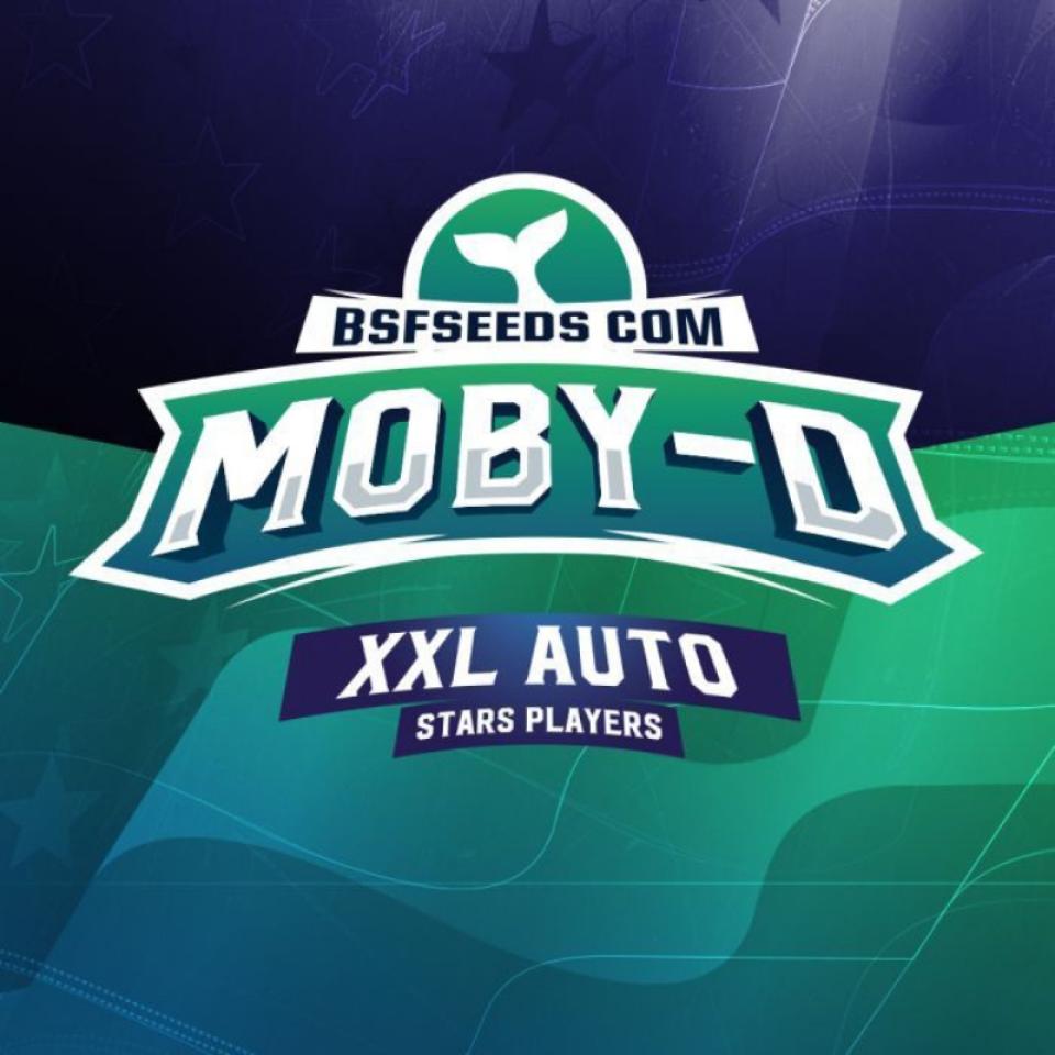 MOBY-D XXL AUTO