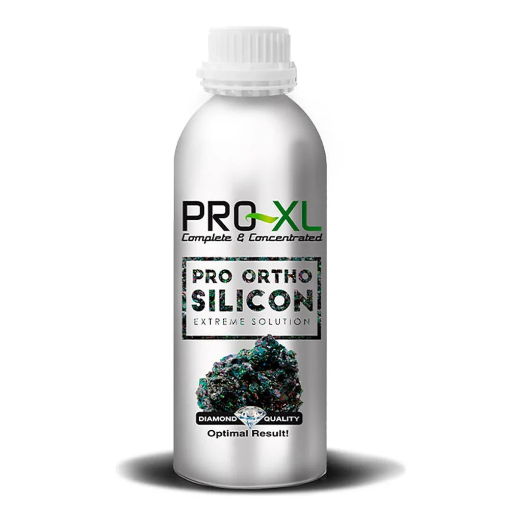 Pro-ortho silicon